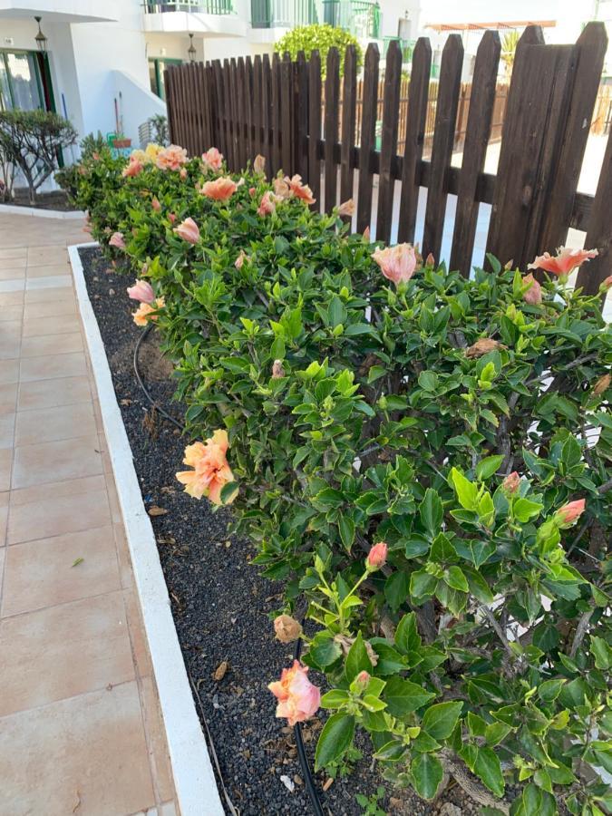 Apartmán San Valentine Corralejo Exteriér fotografie